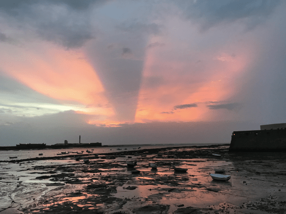 Captura de pantalla 2019-02-25 a las 8.53.59